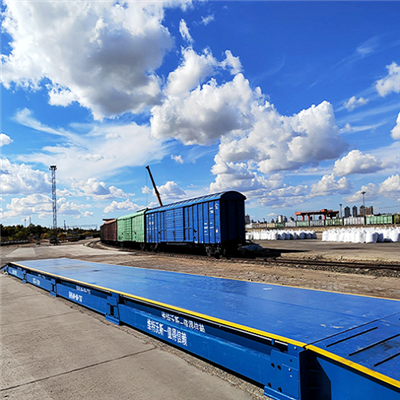 Digitalna vaga prijenosnih kamiona